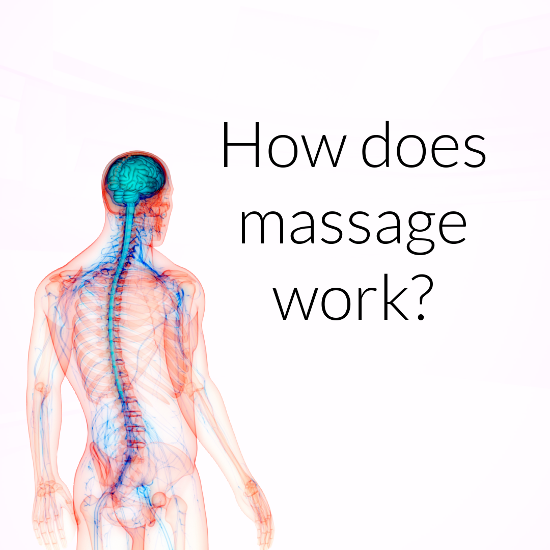 How Does Massage Work Jennifer Brand Academy